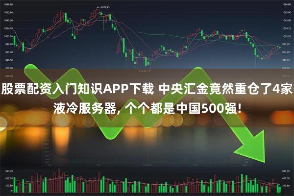 股票配资入门知识APP下载 中央汇金竟然重仓了4家液冷服务器, 个个都是中国500强!