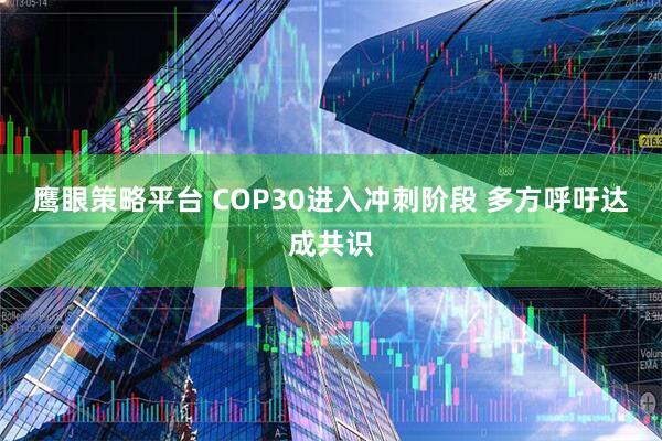 鹰眼策略平台 COP30进入冲刺阶段 多方呼吁达成共识